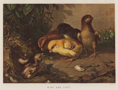 Vem är du (kromolit) av English School