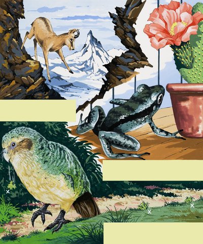 Wildlife montage av English School