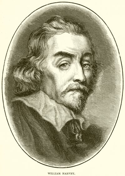 William Harvey von English School