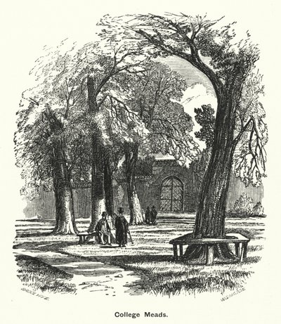 Winchester College: College Meads (gravyr) av English School