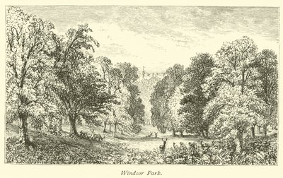 Windsor Park av English School