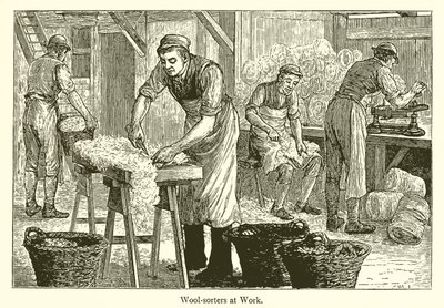 Wool-Sorters av English School