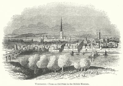 Worcester (gravyr) av English School