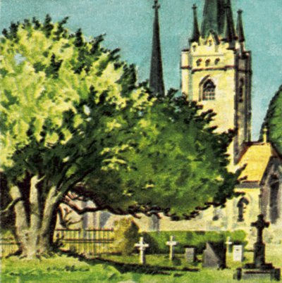 Idegran på en kyrkogård av English School