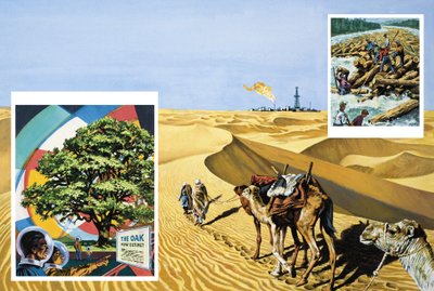 Du kan leda en kamel till olja av English School