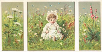 Ungt barn som sitter i blomsteräng, julkort av English School
