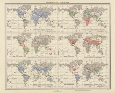 Zoogeografi: Amfibier, Anura, Urodela, Apoda (färglitografi) av English School