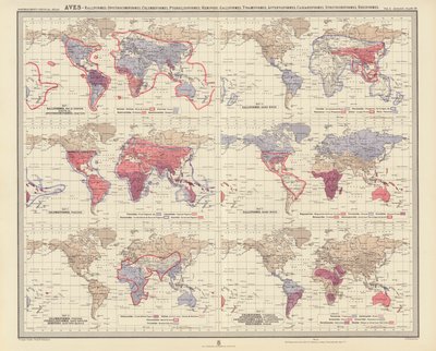 Zoogeografi: Aves, Ralliformes, Opisthocomiformes, Columbiformes, Pteroclidiformes, Hemipodii, Galliformes, Tinamiformes, Apterygiformes, Casuariiformes, Struthioniformes, Rheiformes (färglitografi) av English School