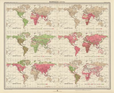 Zoogeografi: Däggdjur, köttätare (färglitografi) av English School
