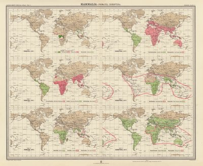 Zoogeografi: Däggdjur, primater, kräldjur (färglitografi) av English School