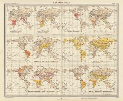 Zoogeografi: Däggdjur, Ungulata (färglitografi) av English School