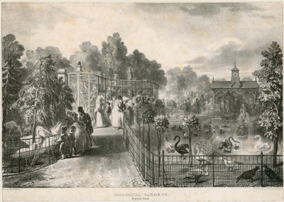 Zoologiska trädgårdar, Regents Park av English School