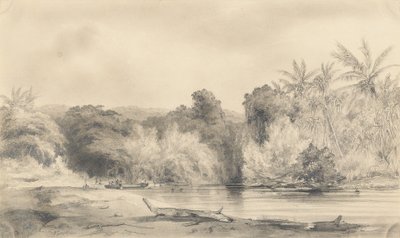 Ingång till floden Paiou, ön Vanikoro av Ernest Auguste Goupil
