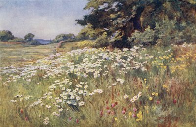 Solsken i Meadowland av Ernest Benger or Berenger