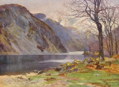 Branderpasset (färglitografi) av Ernest Edward Briggs