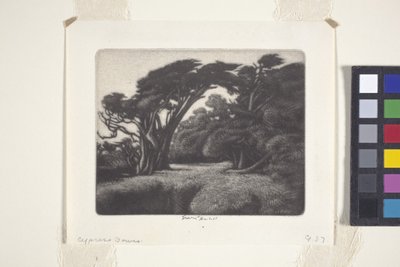 Cypress Bower (mezzotint) av Ernest Haskell