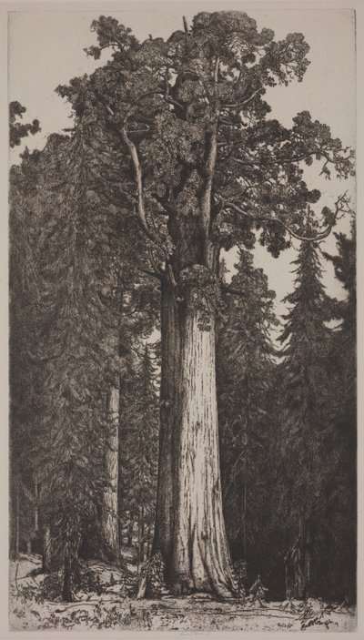 General Sherman av Ernest Haskell