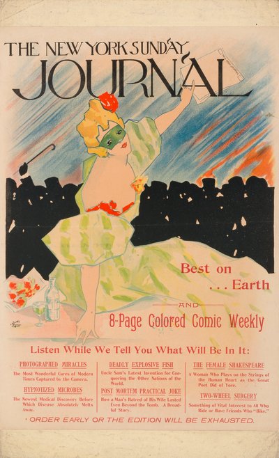 New York Sunday Journal av Ernest Haskell