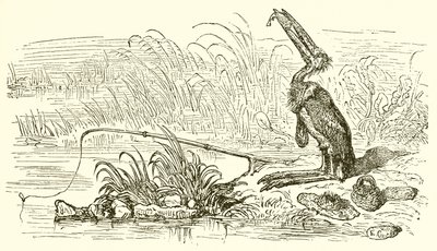 Sportfiskaren och den lilla fisken av Ernest Henry Griset