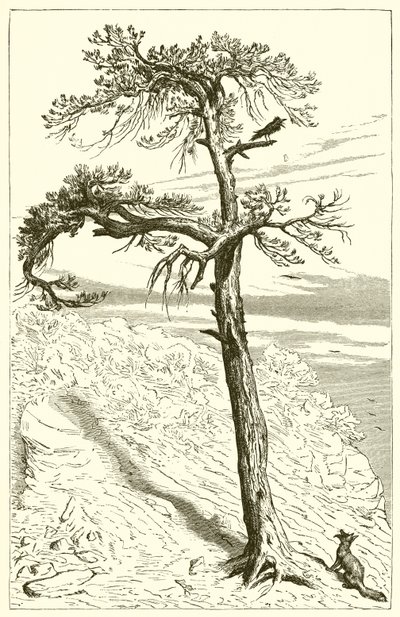 Räven och besättningen av Ernest Henry Griset
