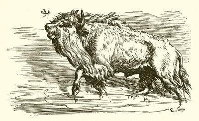 Gnaten och tjuren av Ernest Henry Griset