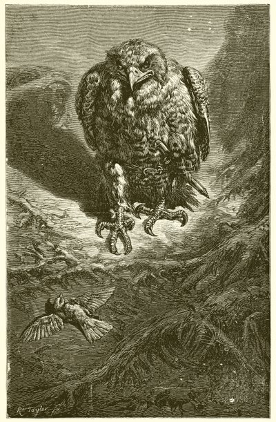 Höken och näktergalen av Ernest Henry Griset
