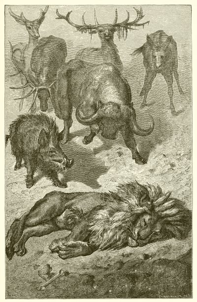Det gamla lejonet av Ernest Henry Griset