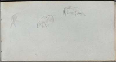 Skissbok, sidan 20: Djurstudie av Ernest Meissonier