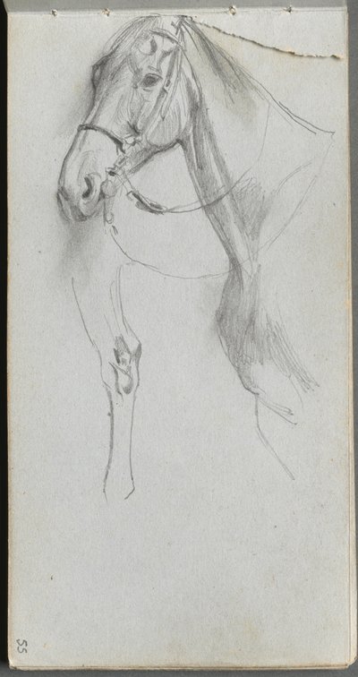 Skissbok, sidan 55: Study for a Horse av Ernest Meissonier