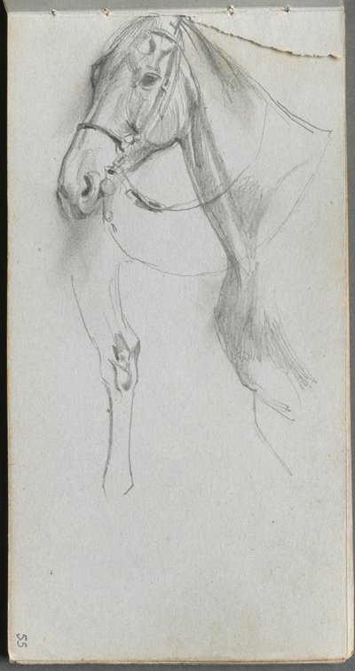 Skissbok, sidan 55: Study for a Horse. av Jean Louis Ernest Meissonier