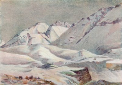 Anderna (färg litho) av Ernest William Christmas