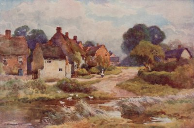 "Beggarly Broom" (färg litho) av Ernest William Haslehust
