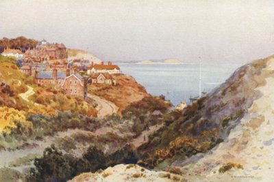 Boscombe Chine (färg litho) av Ernest William Haslehust