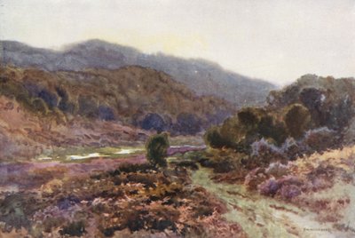 Av Broomy Water (färg litho) av Ernest William Haslehust