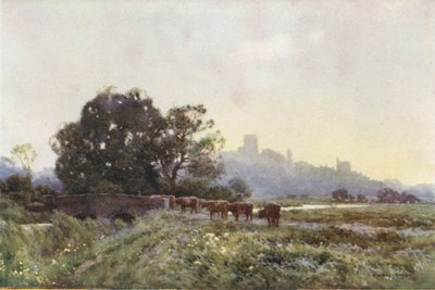 Dorchester from the Meadows (färg litho) av Ernest William Haslehust