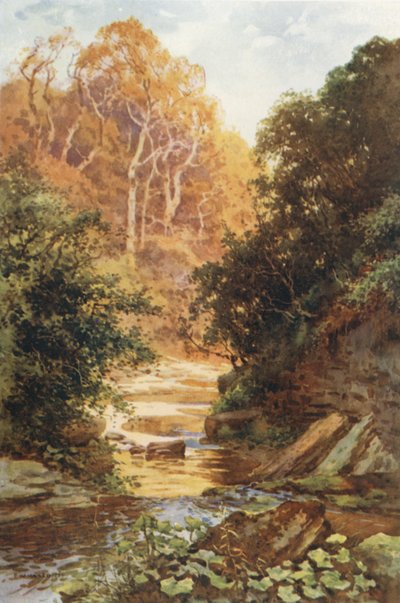 Hayburn Wyke (färg litho) av Ernest William Haslehust