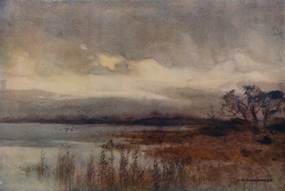 Hickling Broad (färg litho) av Ernest William Haslehust