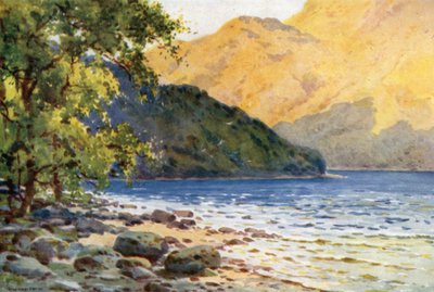 Inverbeg: On Loch Lomond, Opposite Rowardennan (color litho) av Ernest William Haslehust