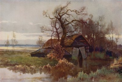 Old Boat-Houses, Barton Broad (färg litho) av Ernest William Haslehust