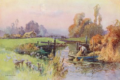 Floden Themsen: Backwater to the Wey (färglitografi) av Ernest William Haslehust