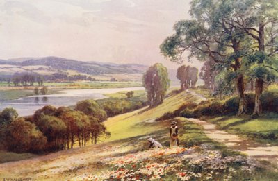 Floden Themsen: Bourne End från Quarry Hill (färglitografi) av Ernest William Haslehust