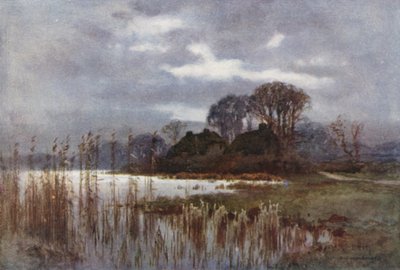The Mill Pond, Beaulieu (färg litho) av Ernest William Haslehust