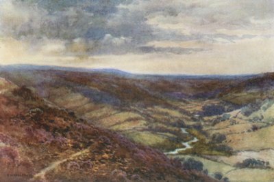 Morerna nära Hackness (färg litho) av Ernest William Haslehust