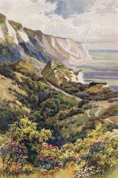 The Warren, Folkestone (färg litho) av Ernest William Haslehust