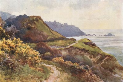 Ventnor från Steephill Walk (färg litho) av Ernest William Haslehust