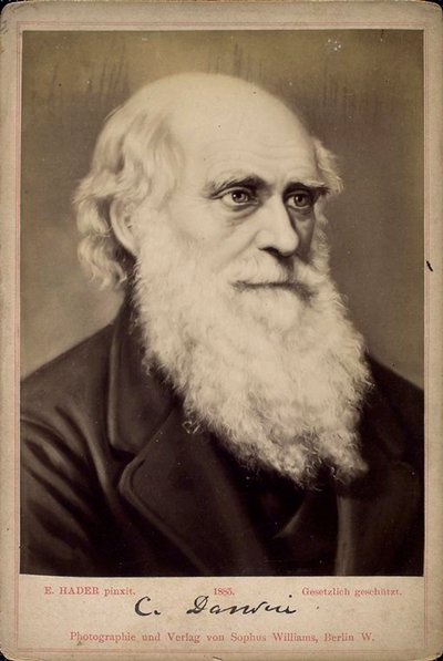 Charles Darwin, brittisk naturforskare, c1860-c1870-talet av Ernst Hader