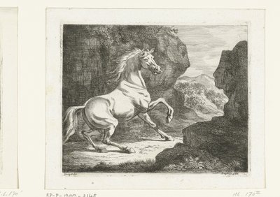 Studsande vit hingst av Ernst Willem Jan Bagelaar