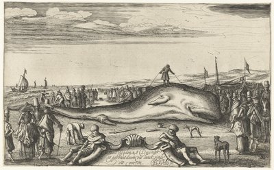 Strandad kaskelot på stranden i Noordwijk, 1614 av Esaias van de Velde