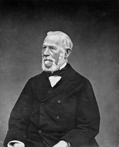 Henri Martin (1810-83), från Galerie Contemporaine, ca 1874-78 av Etienne Carjat