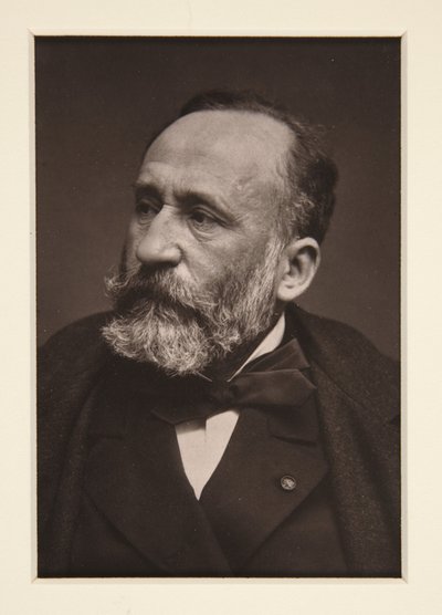 Porträtt av Pierre Puvis de Chavannes (1824-1898) av Etienne Carjat